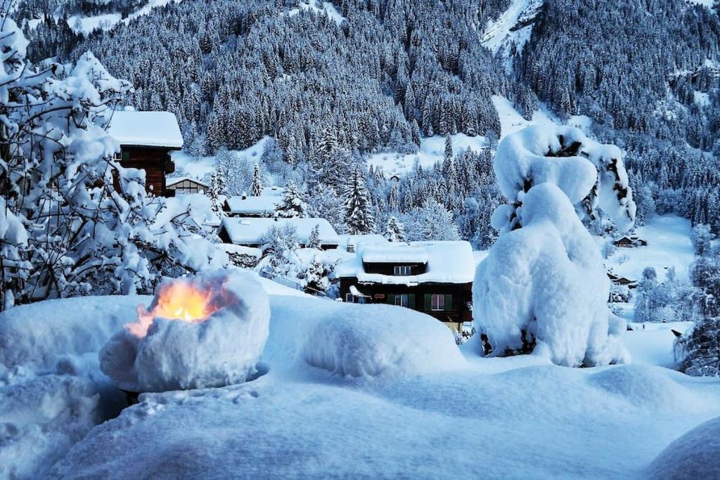 Chalet Morgane Γκρίντελβαλντ Εξωτερικό φωτογραφία